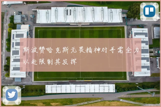 斯波赞哈克斯无畏精神对手需全力以赴限制其发挥