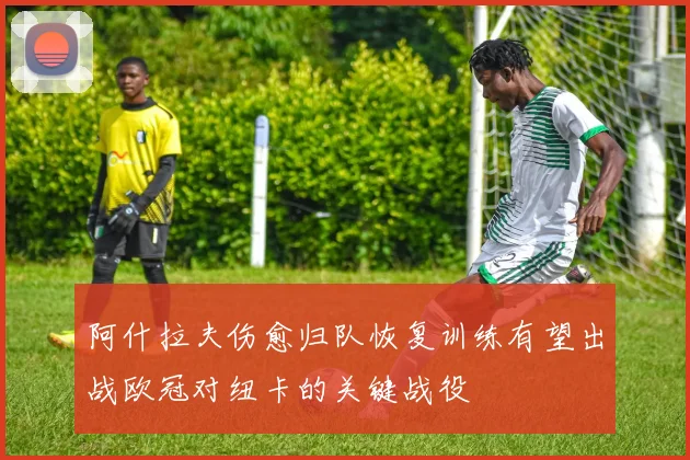 阿什拉夫伤愈归队恢复训练有望出战欧冠对纽卡的关键战役